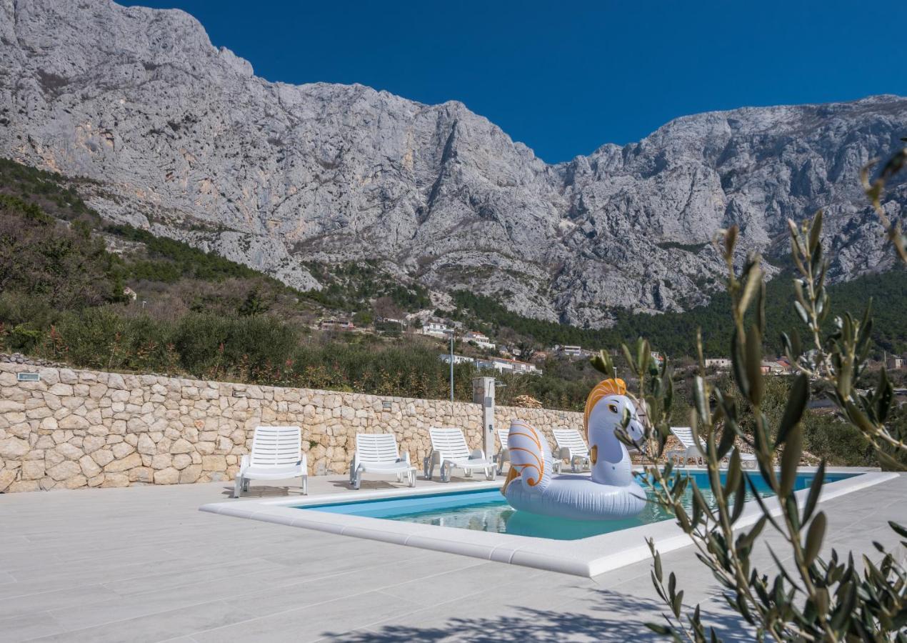 Villa Violeta With Amazing Sea View Makarska Dış mekan fotoğraf